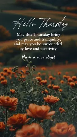 Hello Thursday