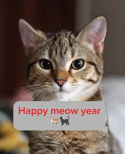 Happy new yr AI