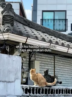 makan dulu 