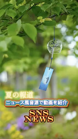 ニュース風動画紹介☀️
