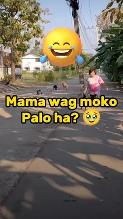 Wag moko palo ha