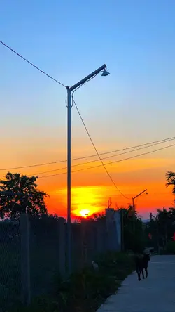 Mẫu chill