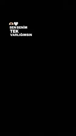 yeni şablon 