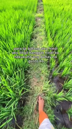 Tuloy-Tuloy lang