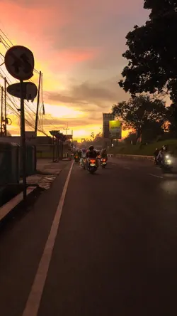 filter senja