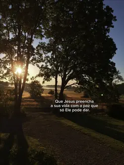 Frases
