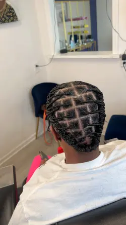 Medium starter Locs 