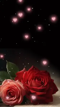 ♥️AMOR BONITO ♥️