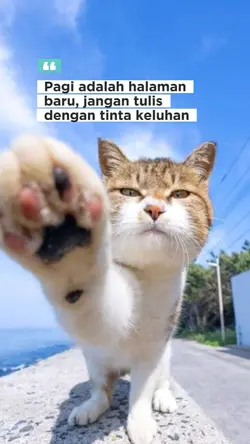 pagi adlh hlman baru