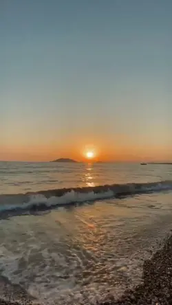 yeni şablon