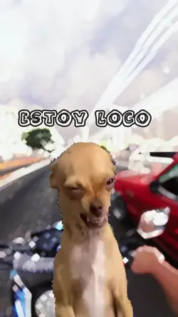 Estoy loco 