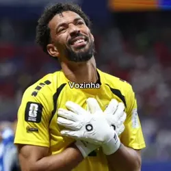 Vozinha edit