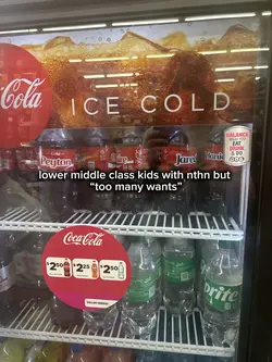 lower middle class.