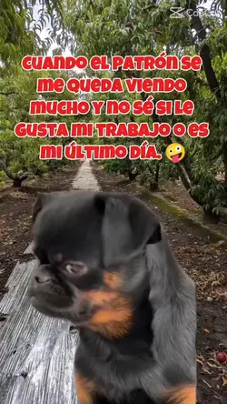 El último día 