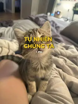 TỰ NHIÊN CHÚNG TA