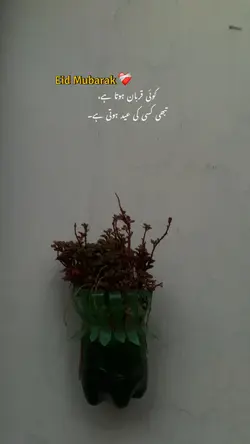 Eid Mubarak ❤️‍🩹