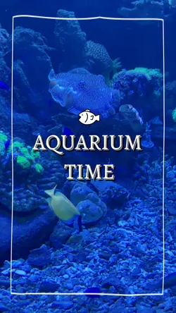 aquarium time 