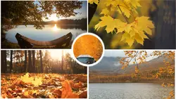 Welcome autumn
