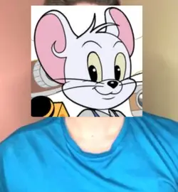 face swap wigofellas