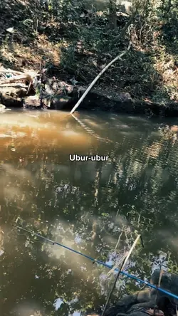Mancing Lee