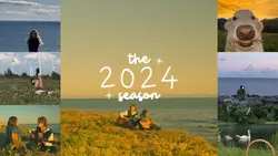 2024 Recap in 49 pic