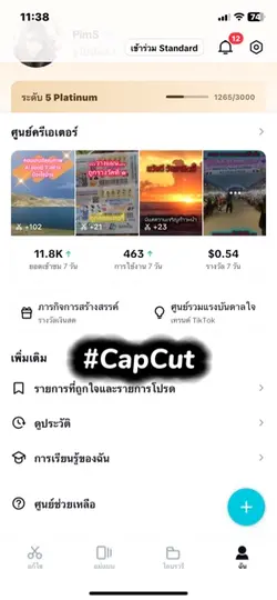 CapCut หาเงินได้