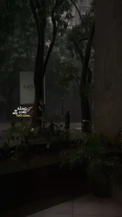 Ai cũng nói rằng