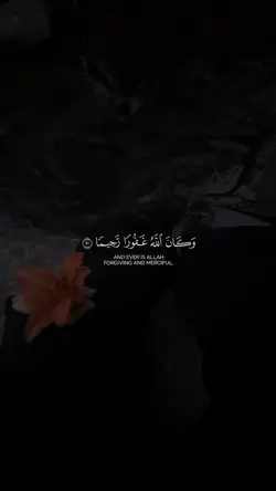 Quran |قران كريم ✨
