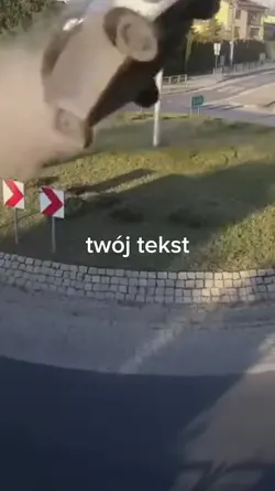 promocja na żubra 