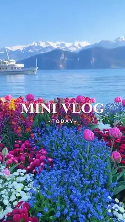 1 minute vlog 