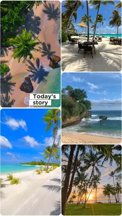 today's story video