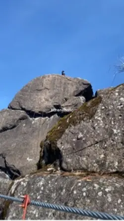 Rappelling