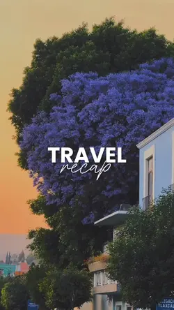 travel recap