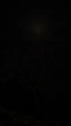imajinasi aku ||