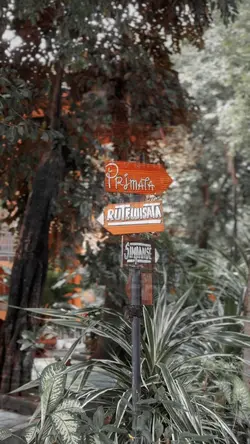 3 DETIK 