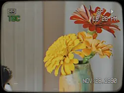 Vlog 90s vibes