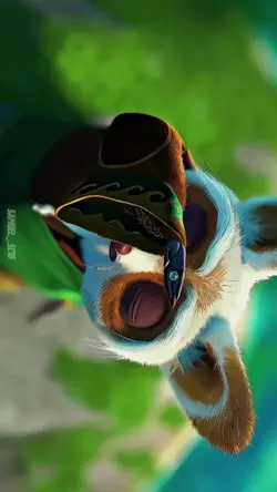 animation filmes 