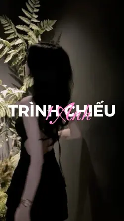 1 ảnh trình chiếu 