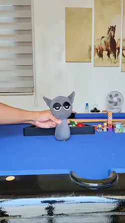 Cat Transition