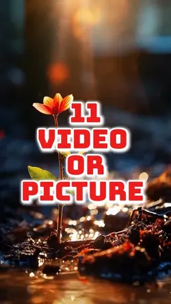 11 video new templat