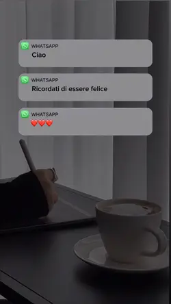 Modello 91