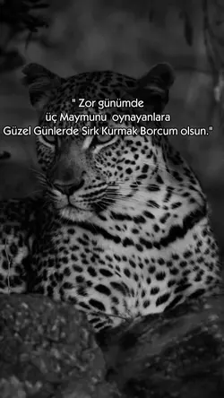 borcum olsun...