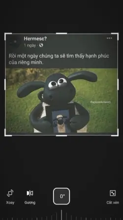 toi khong chen đuoc