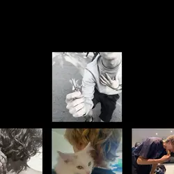 collage flip!