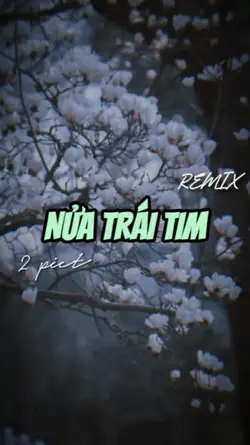 NỬA TRÁI TIM REMIX
