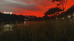 Sunset 🌆 