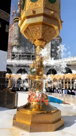 لیا-جب-نام-محمد