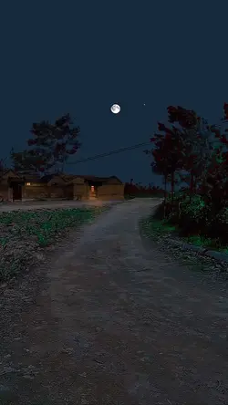 Beautiful land