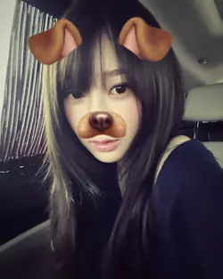 dog filter