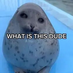uh